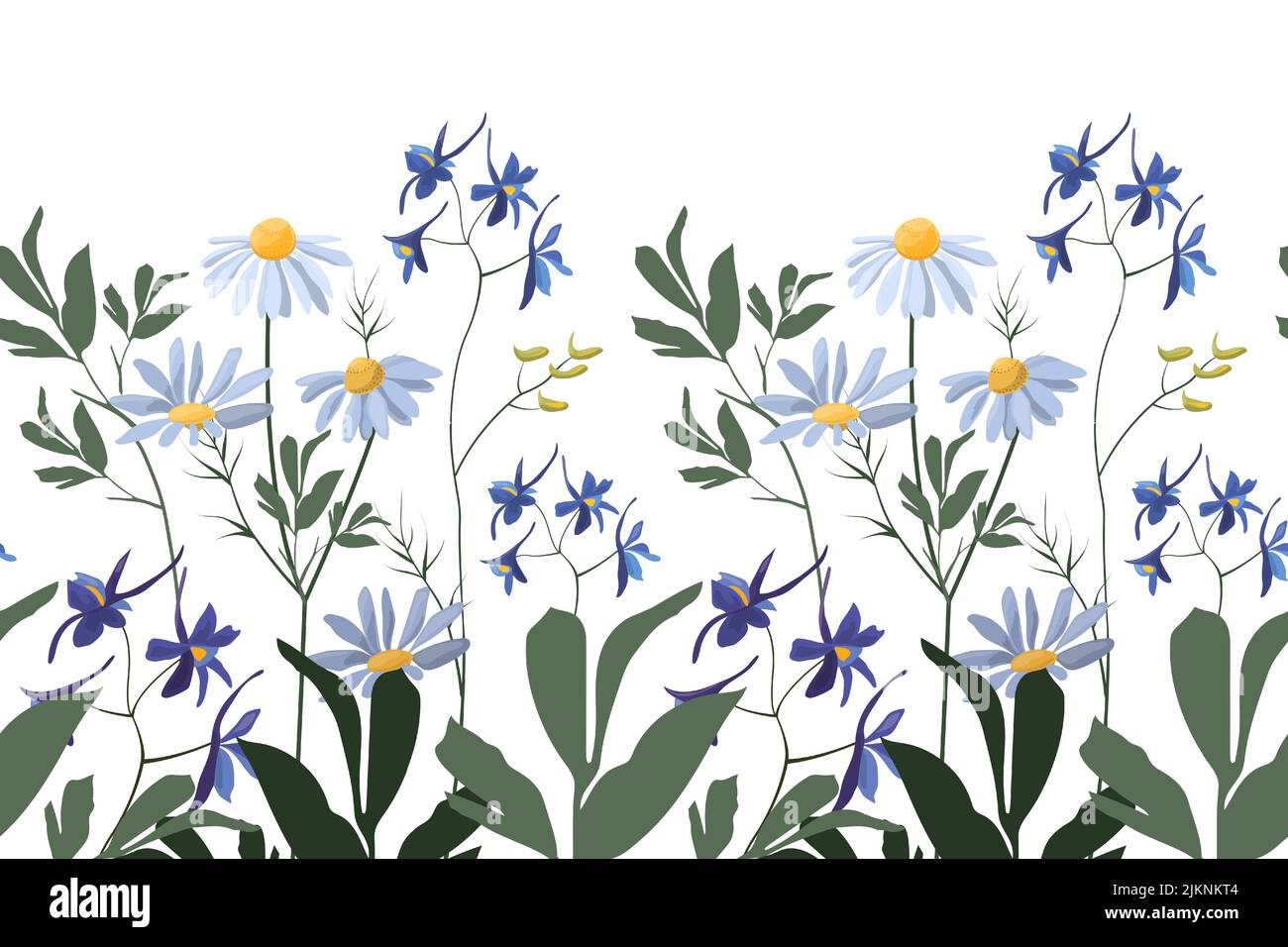 Vector floral seamless pattern, border. Horizontal panoramic illustration with wild and meadow flowers and herbs on a white background. Stock Vector