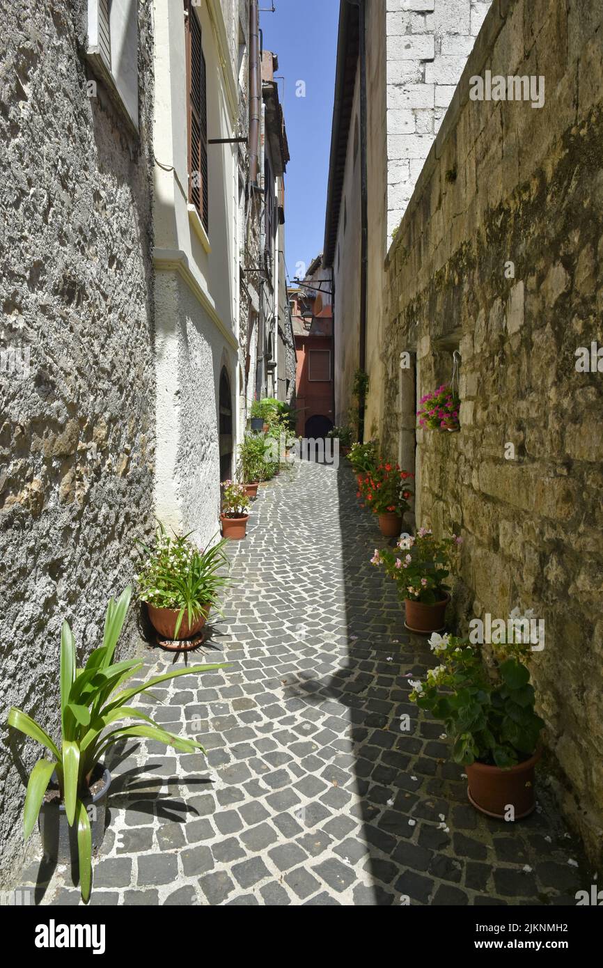 A narrow street in Vallecorsa, a village in the Lazio region of Italy in summer Stock Photo
