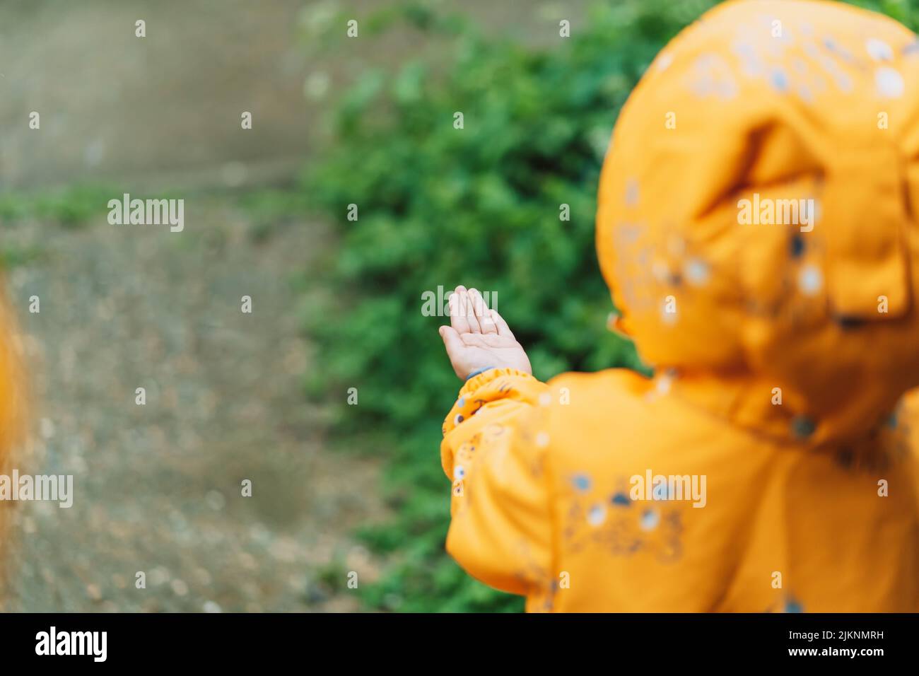 Little girl in yellow suit catches raindrops with her palm Stock Photo