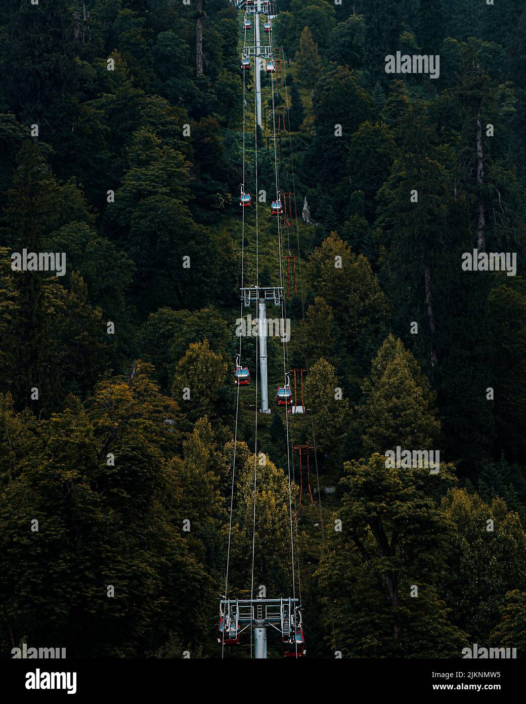 Rope Way View A panoramic view of ropeway in green forest Stock Photo - Alamy