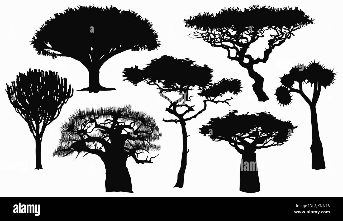 Collection with flat silhouettes of African trees. Stock Vector