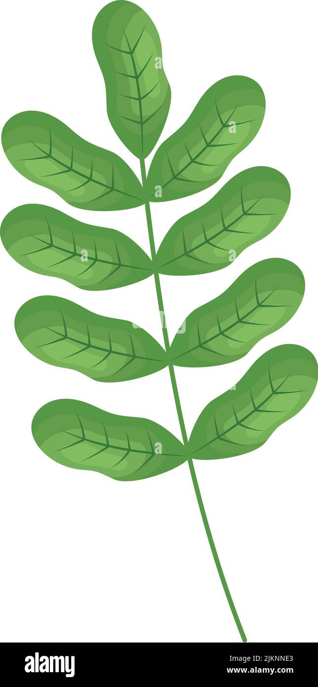 moringa leaves icon Stock Vector Image & Art - Alamy