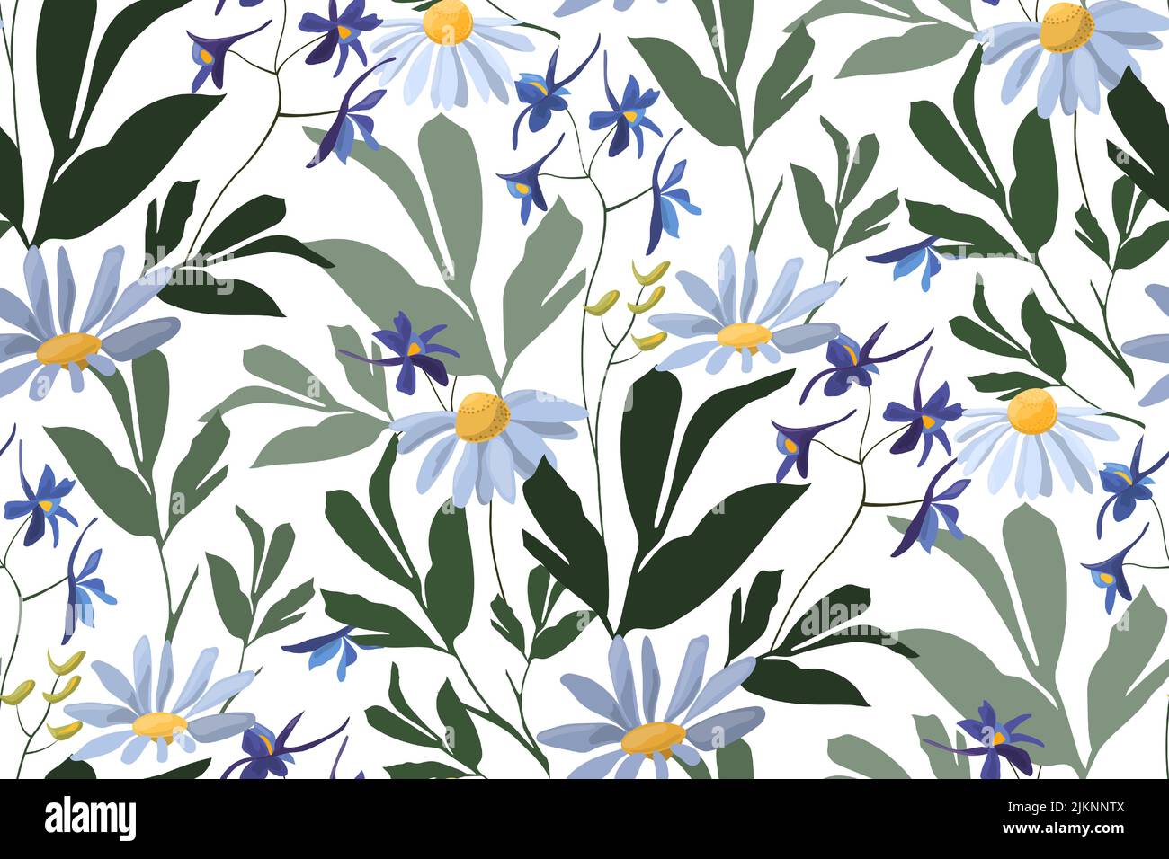 Vector floral seamless pattern. Design with wild and meadow flowers and ...