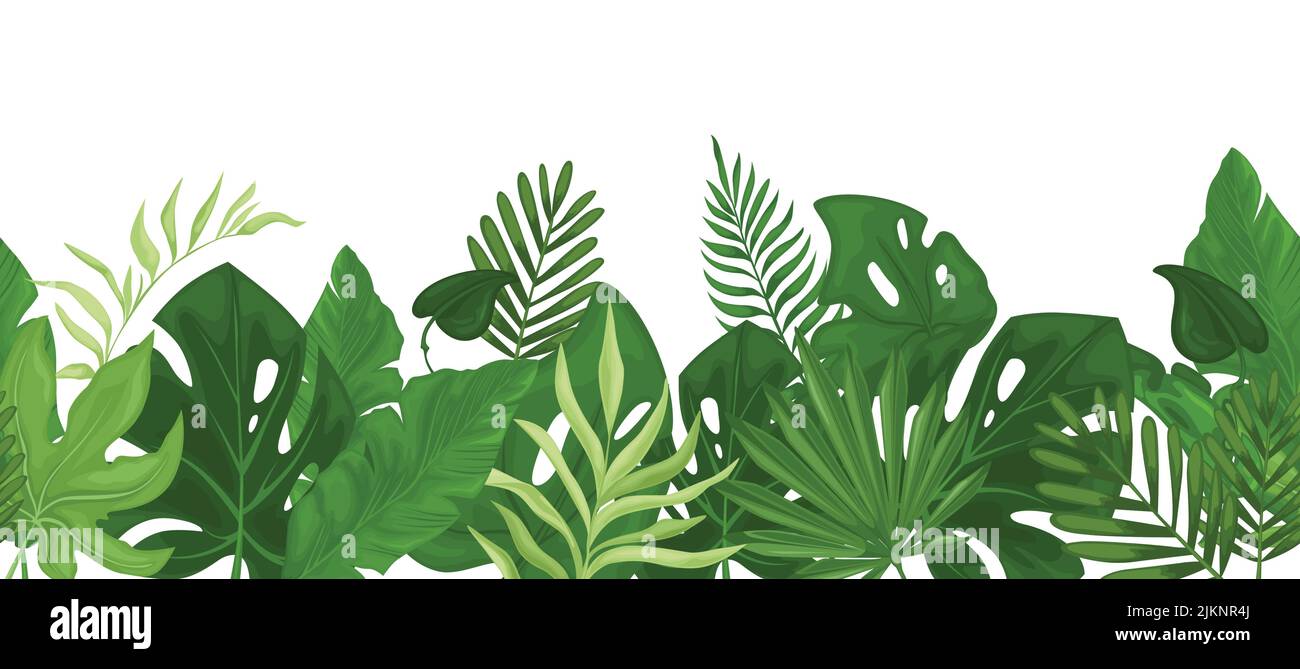 Jungle leaves border hi-res stock photography and images - Alamy