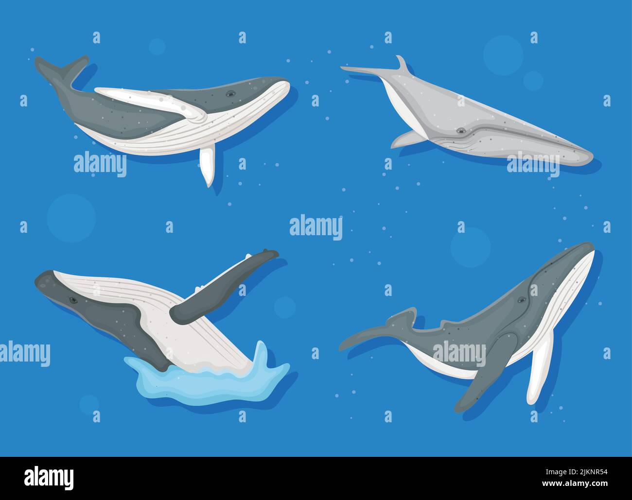 whales icon set Stock Vector Image & Art - Alamy