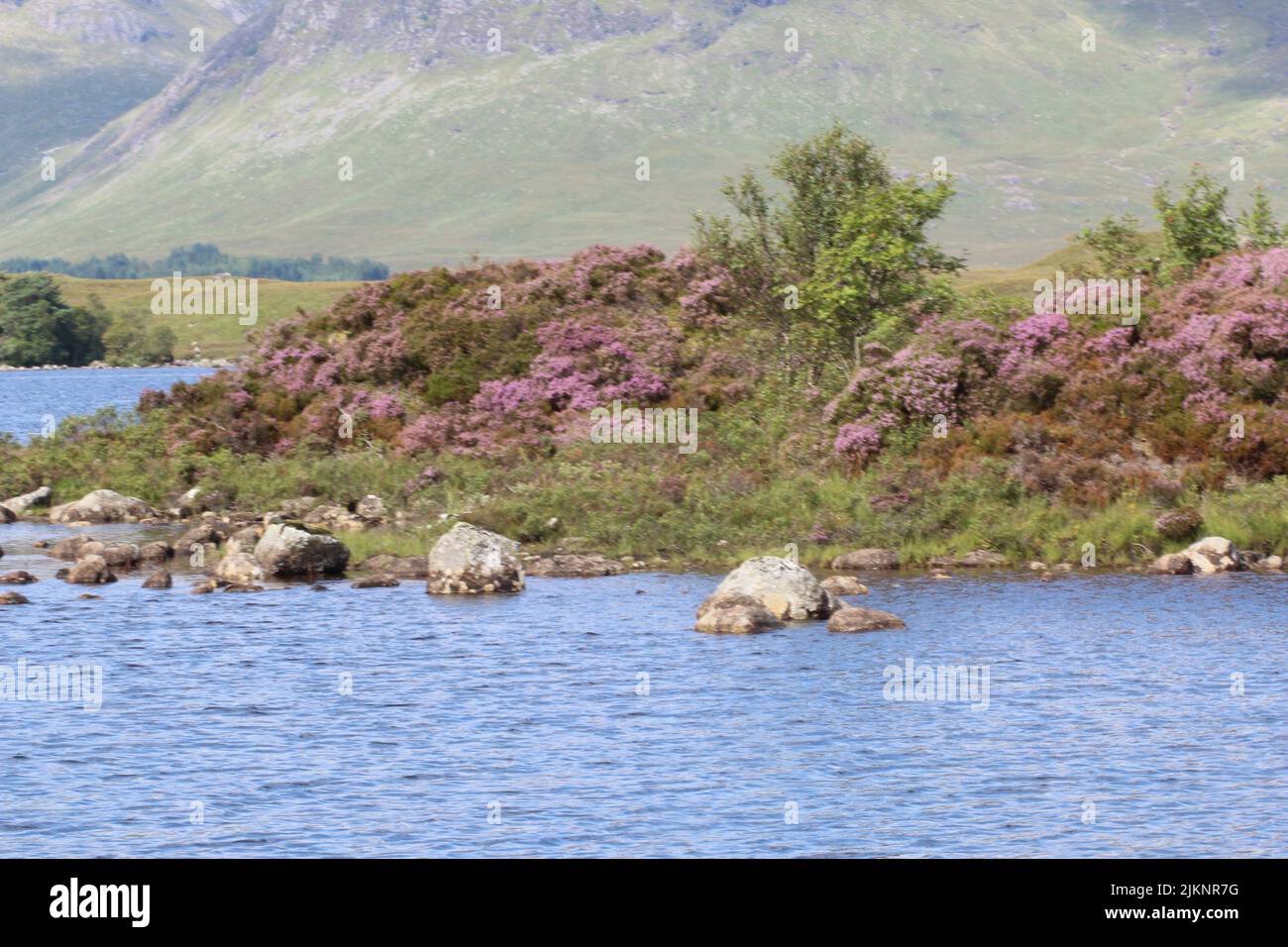 Small lake surrounded trees hi-res stock photography and images - Alamy
