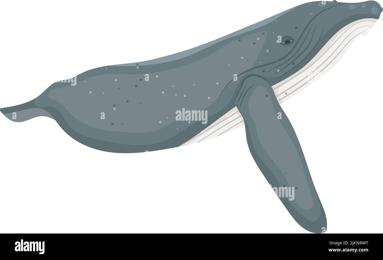 blue whale icon Stock Vector Image & Art - Alamy
