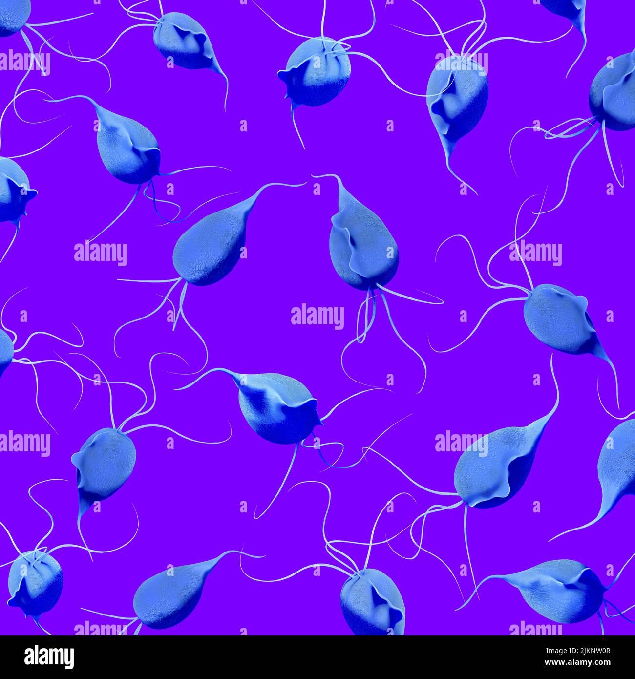 Trichomonas vaginalis parasite, illustration Stock Photo - Alamy