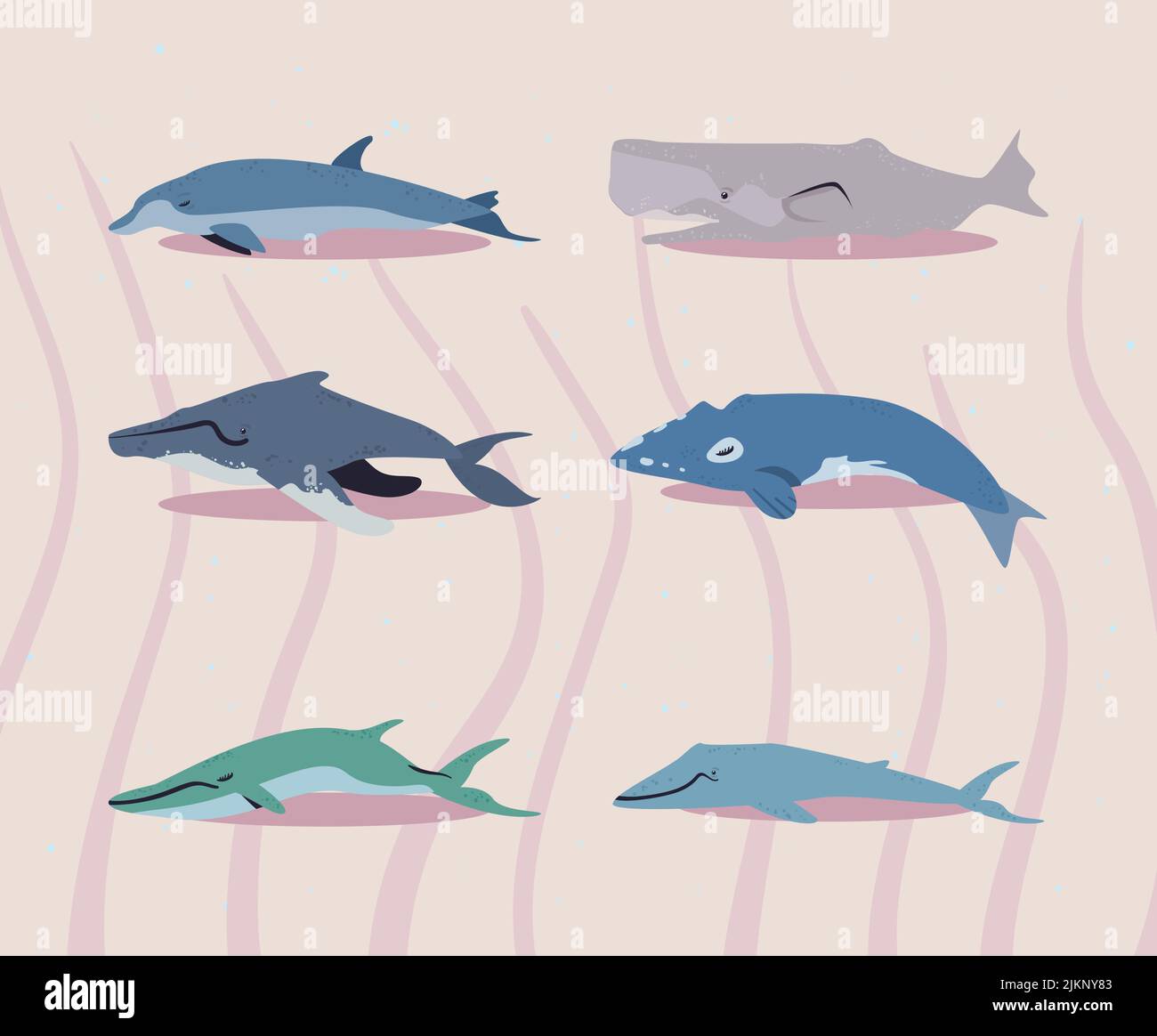 flat colored whales Stock Vector Image & Art - Alamy