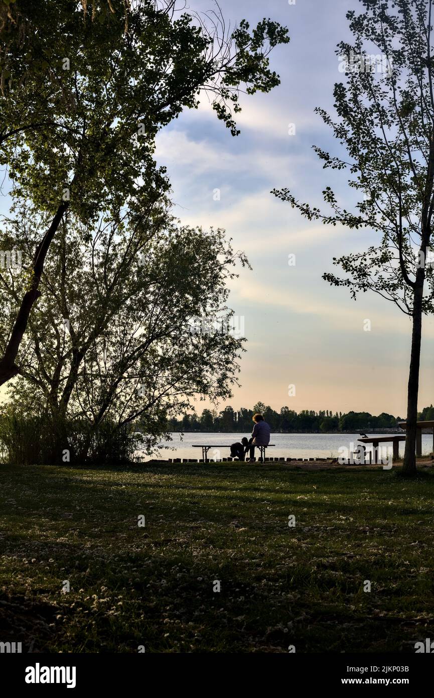Man sitting alone on a bench by the lakeshore in a park at sunset Stock ...