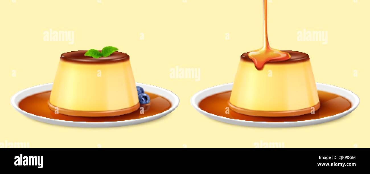 Two custard puddings on plates isolated on yellow background. One with topped mint leaves and served with blueberries, and the other drizzled with car Stock Vector