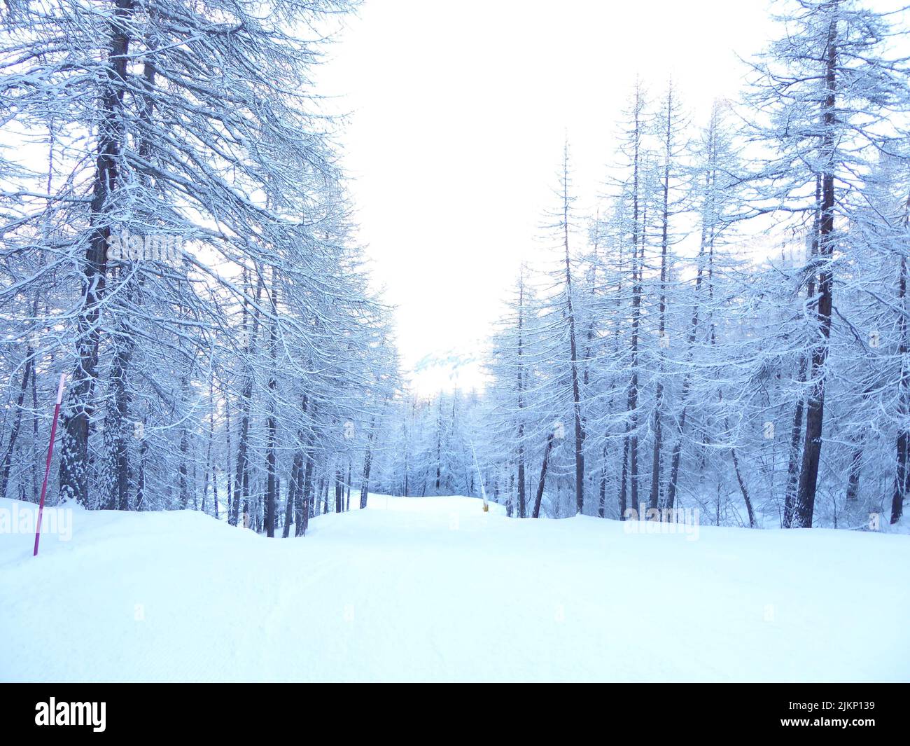 A winter landscape in the forest with the roads and trees all covered in snow Stock Photo