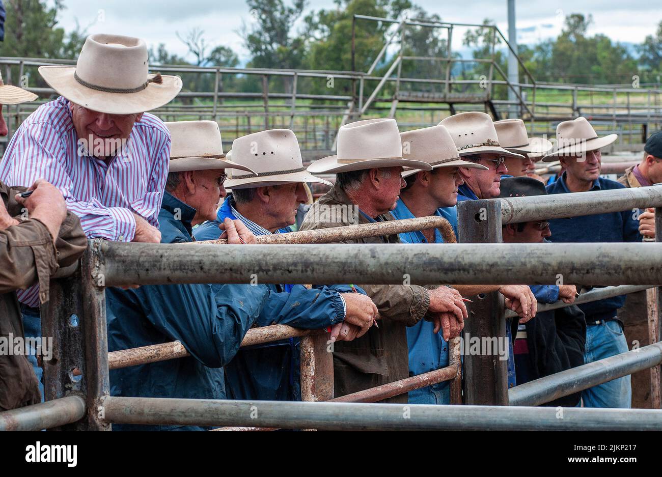 Cattlemen leaning on the rails at a cattle auction, in the at the Sale Yards in Gunnedah, NSW, Australia Stock Photo