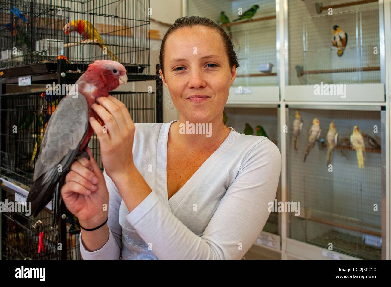 Jaid Roden university student and part-time pet shop employee Stock Photo