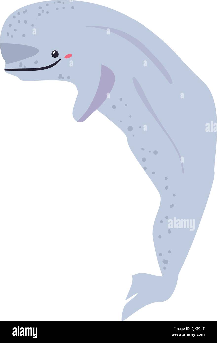 flat beluga whale Stock Vector Image & Art - Alamy