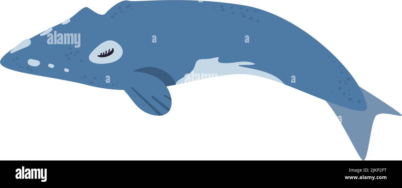 flat colorful whale Stock Vector Image & Art - Alamy
