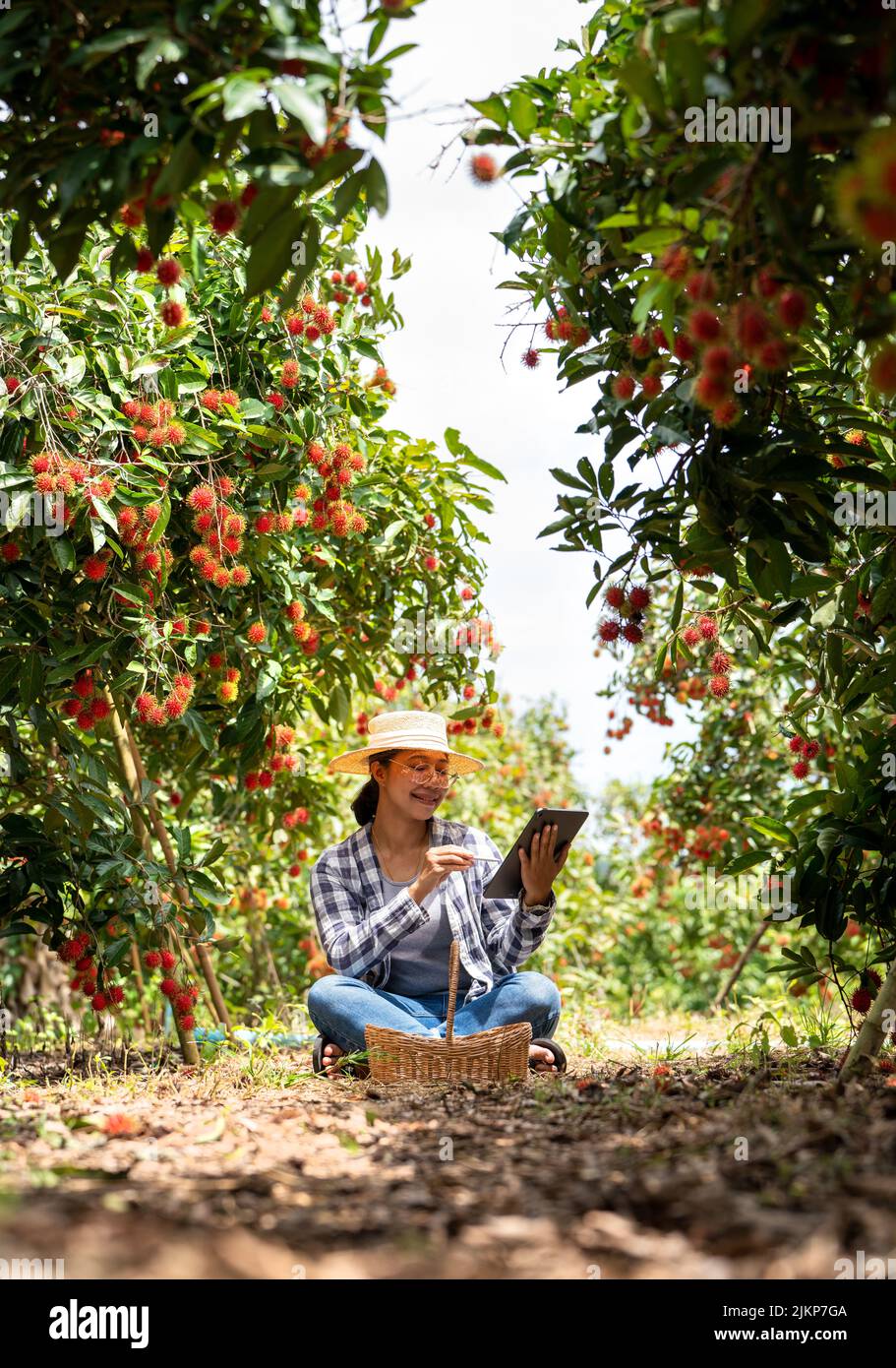 Fruits from plants hi-res stock photography and images - Alamy