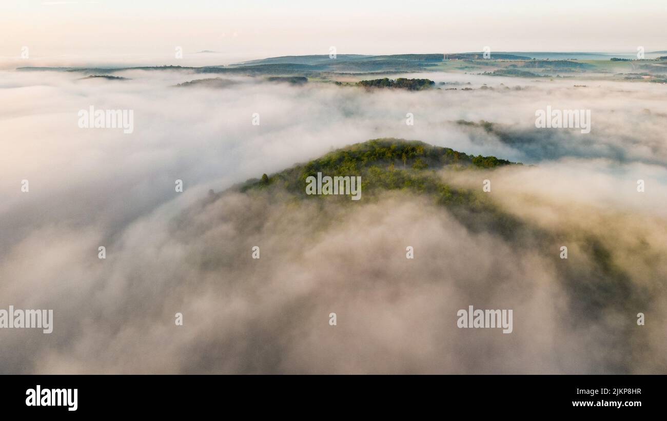 The scenic trees and fog trees hi-res stock photography and images - Alamy