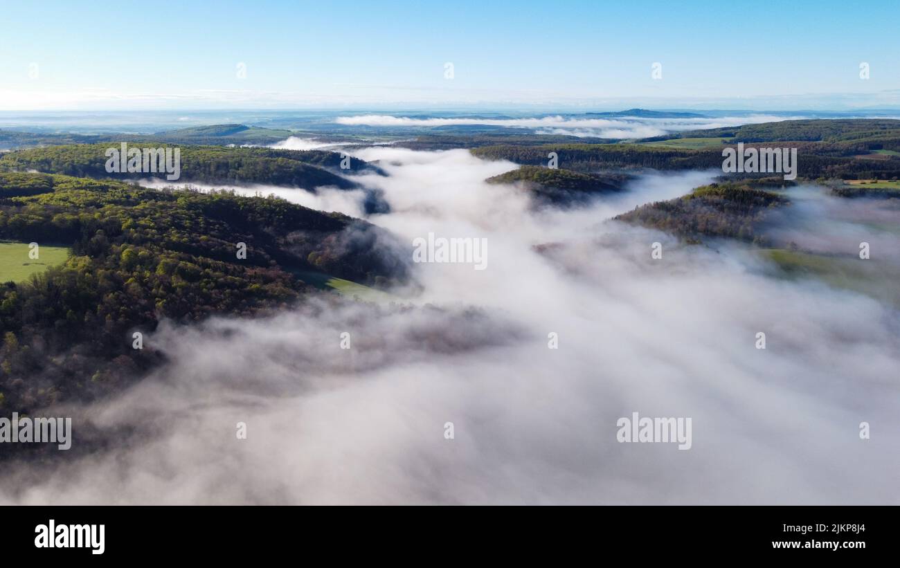 An aerial view of big basin of green leaved trees and plants covered with fog on a beautiful sunny day with blue sky on the horizon Stock Photo