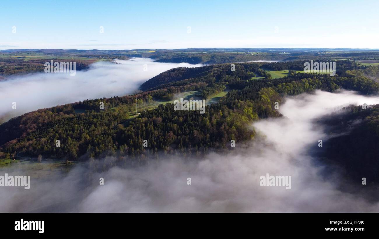 An aerial view of big basin of green leaved trees and plants covered with fog on a beautiful sunny day with blue sky on the horizon Stock Photo