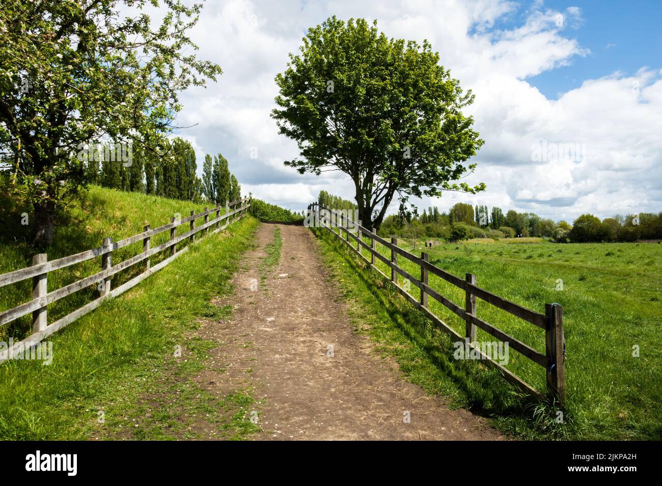 Wood fence in park hi-res stock photography and images - Alamy