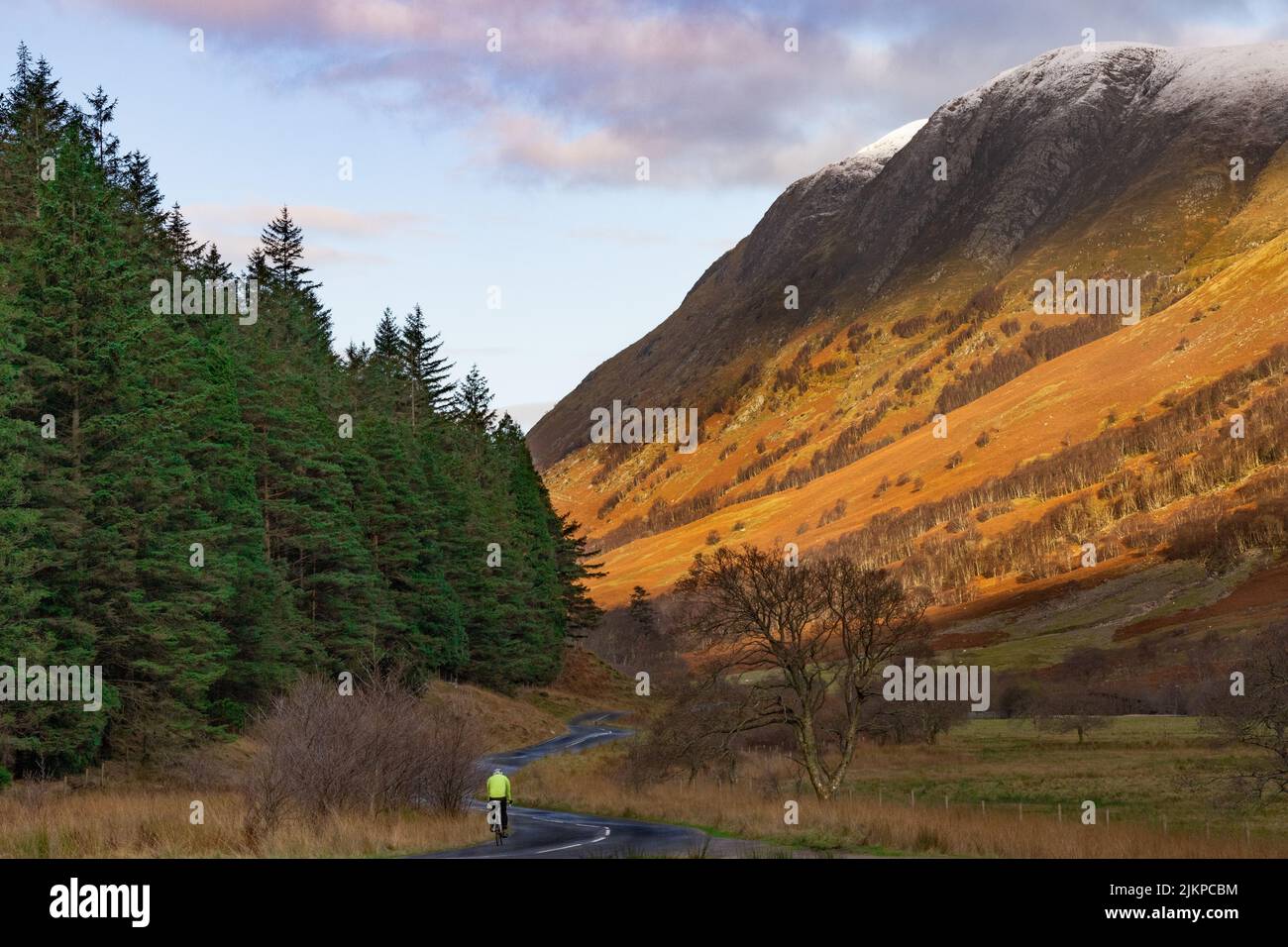 A lonely cyclist riding on an empty way next to trees and a wild landscape. Stock Photo