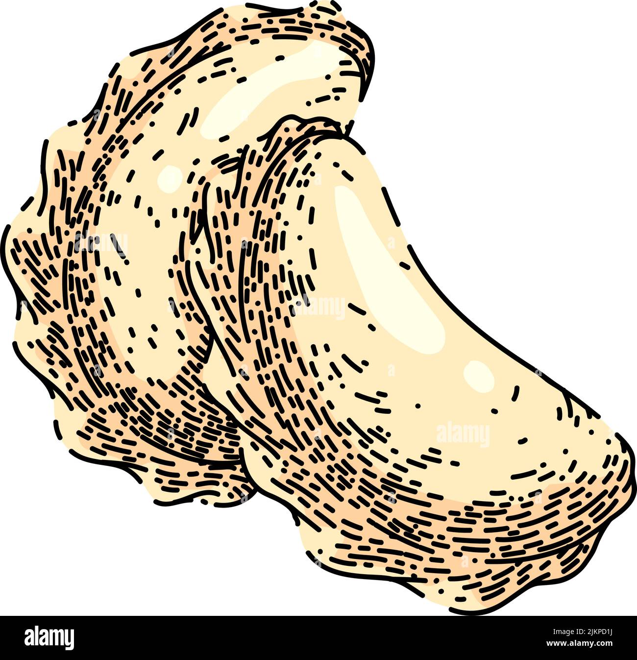 dumpling sketch hand drawn vector Stock Vector