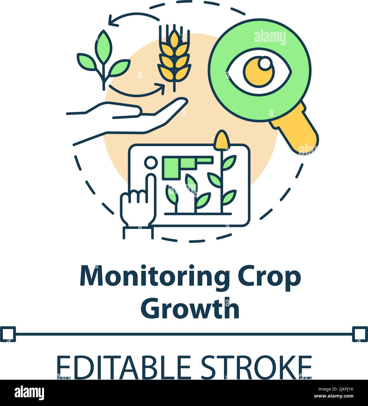Monitoring crop growth concept icon Stock Vector