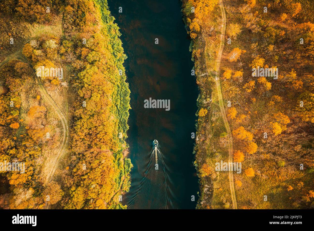 Aerial view of forest woods and river marsh bog in autumn sunny day. Bird's eye view of marsh bog. Top view of beautiful european nature landscape Stock Photo