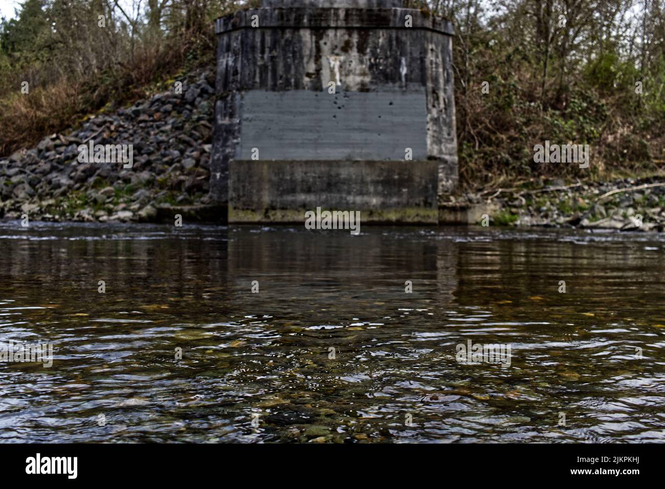 A scenic view of a river in the forest in daylight Stock Photo - Alamy