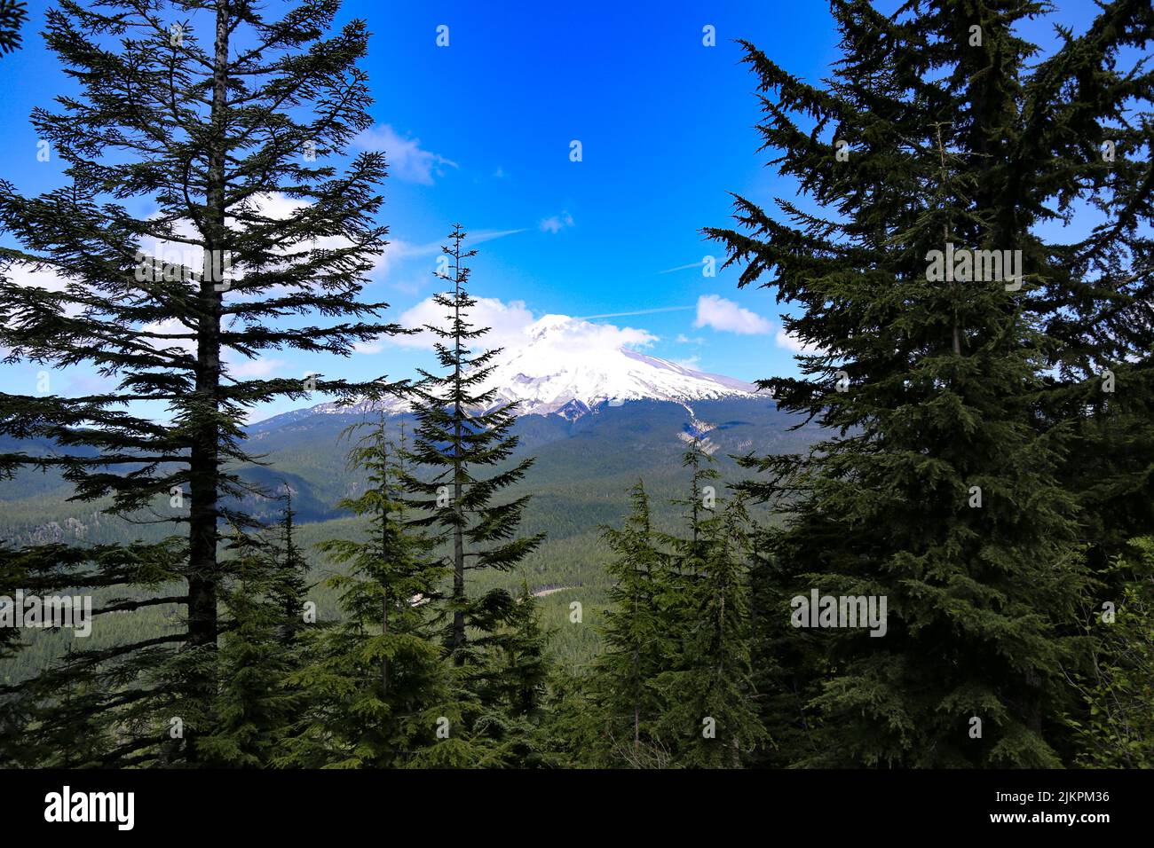 A landscape view of beautiful mountains and trees under a blue sky on a sunny day Stock Photo
