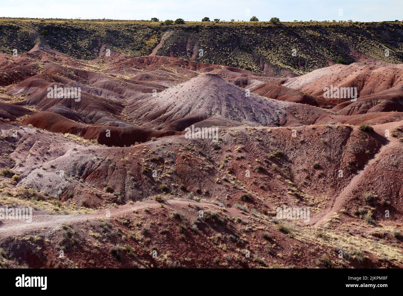 A landscape view of red dry badlands in a desert under the sunlight ...