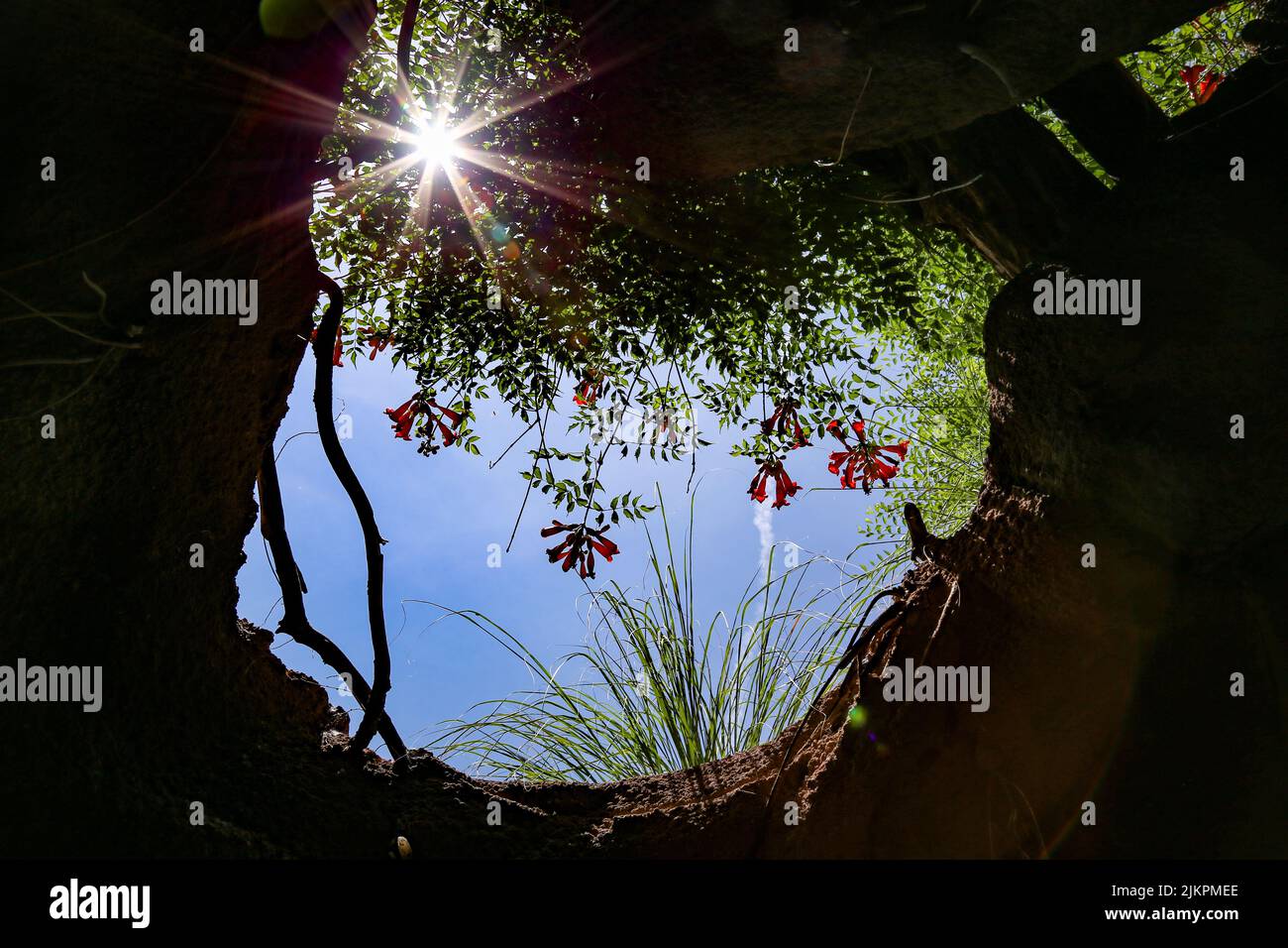 Impressive sun shining through open cave ceiling Stock Photo - Alamy