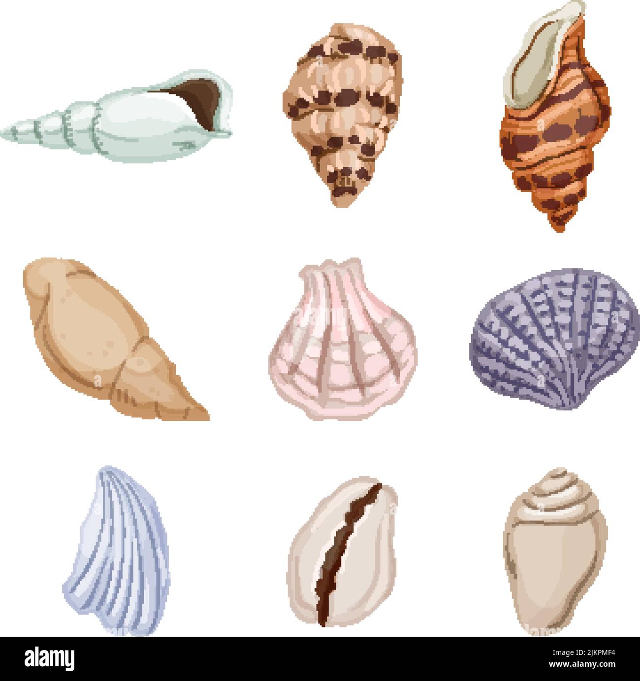 sea shell set cartoon vector illustration Stock Vector