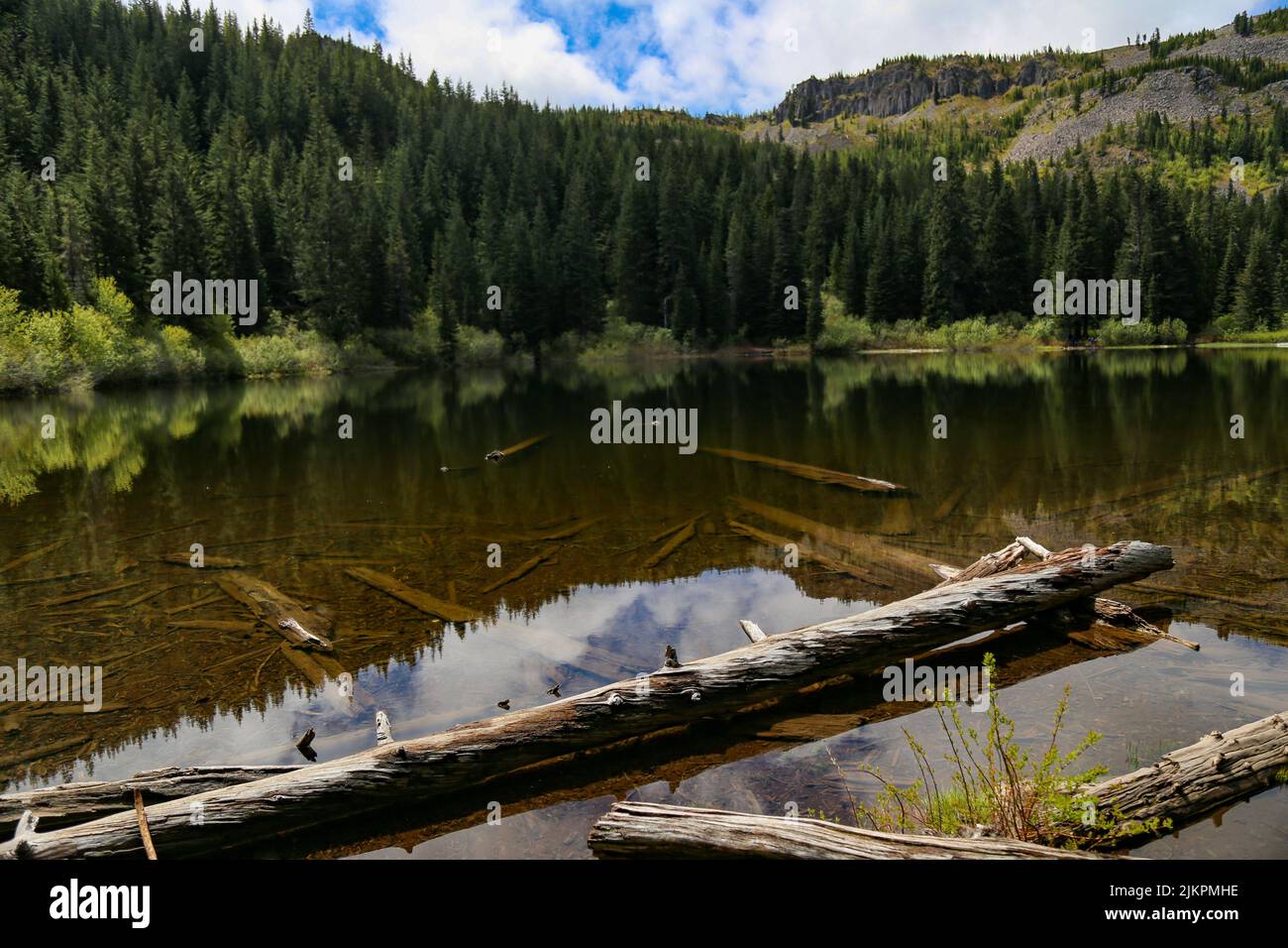 Peaceful green background hi-res stock photography and images - Alamy
