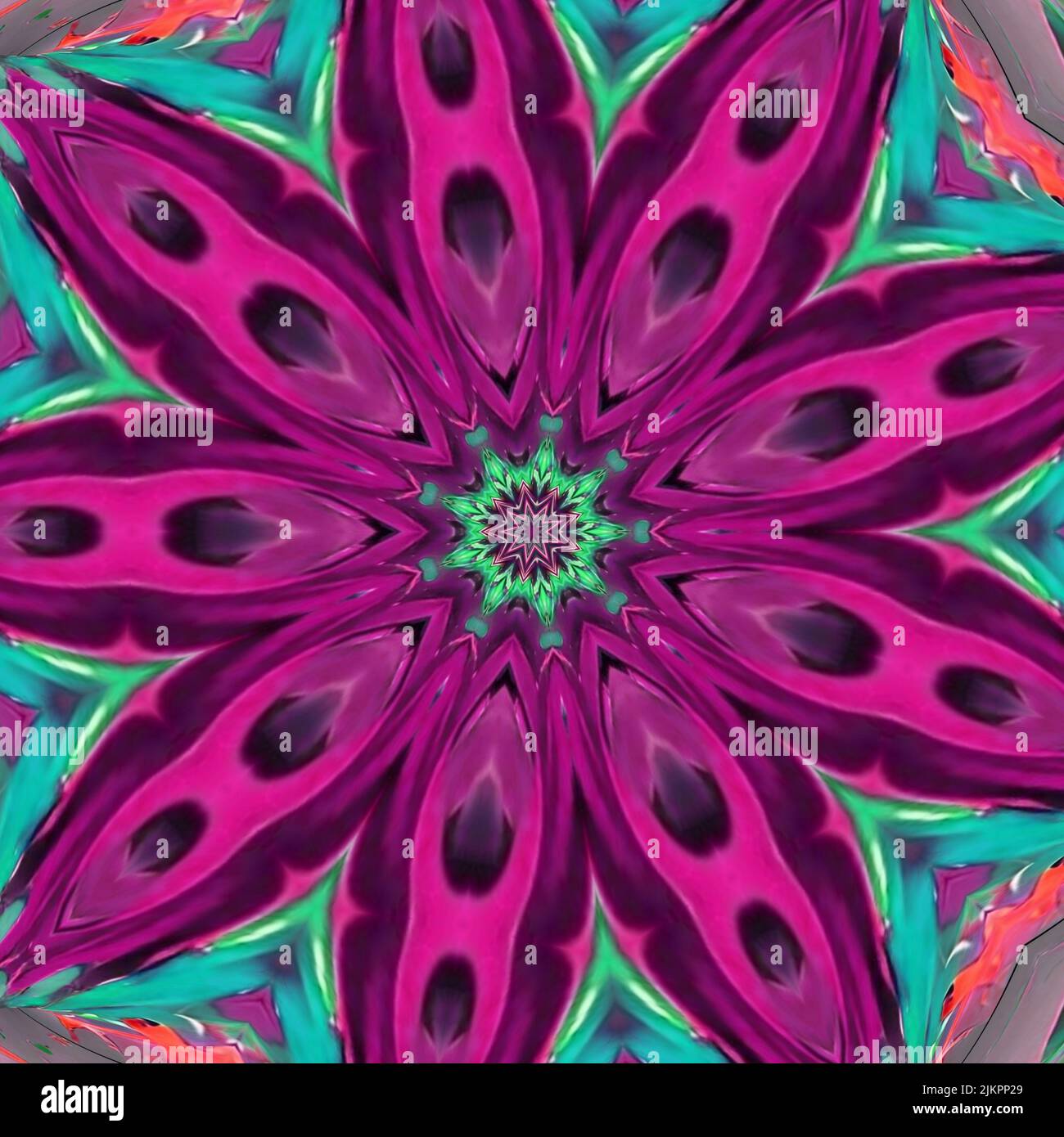 Crypt Patterned Symmetrical pattern design Cryptanthus Bromeliads ornamental plant with ...