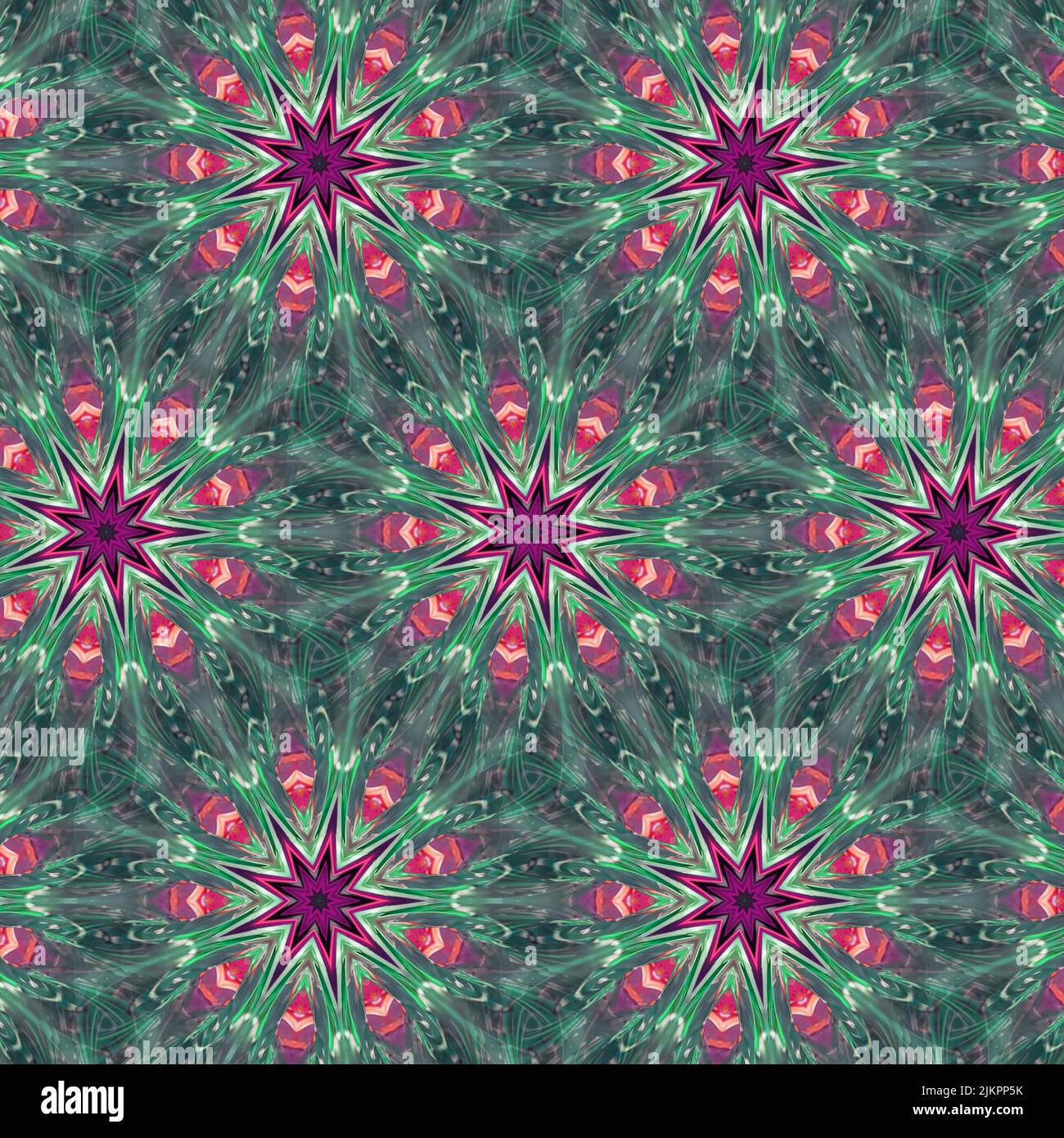 Crypt Patterned Symmetrical pattern design Cryptanthus Bromeliads ornamental plant with ...