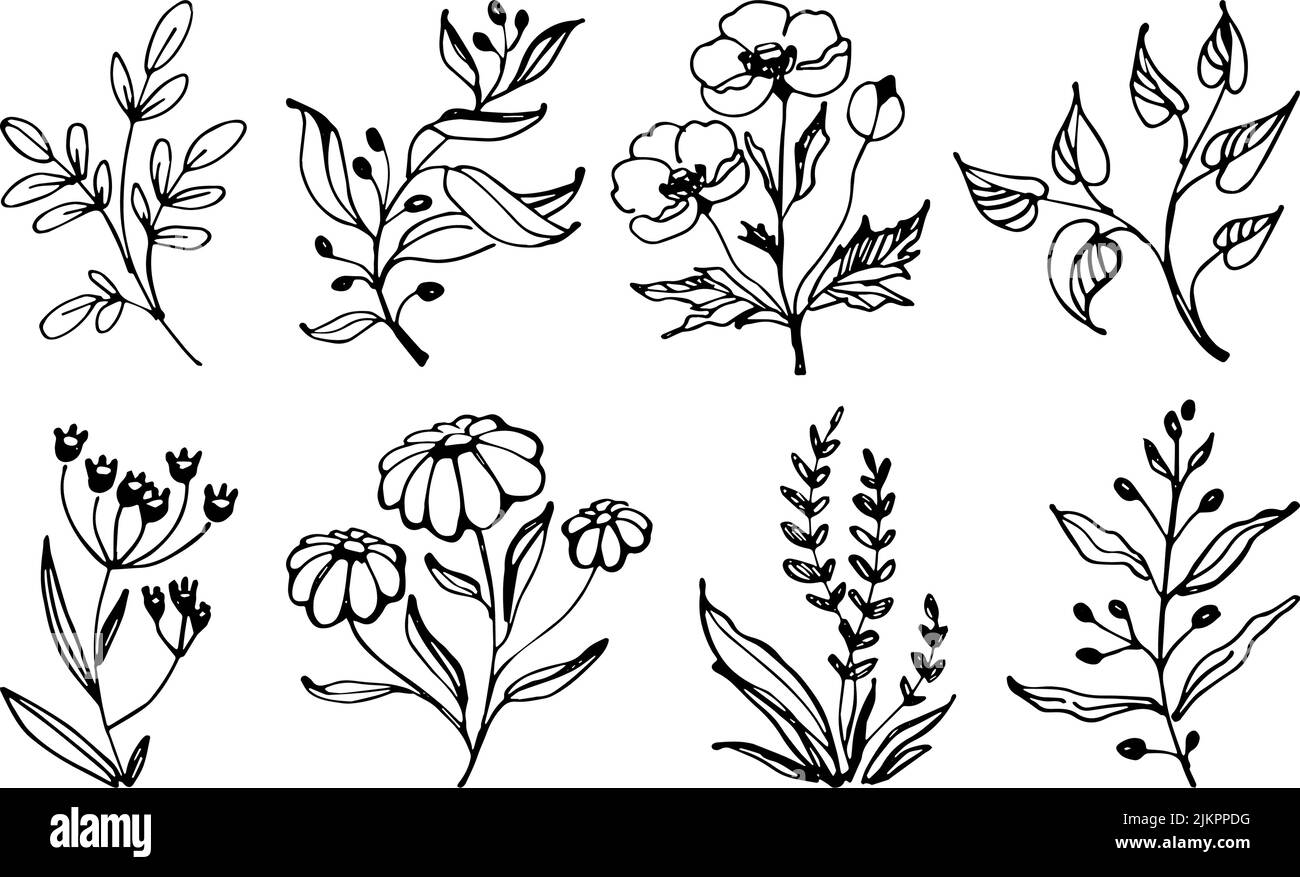 Set of hand drawn floral vector with leaves, flowers and branches ...