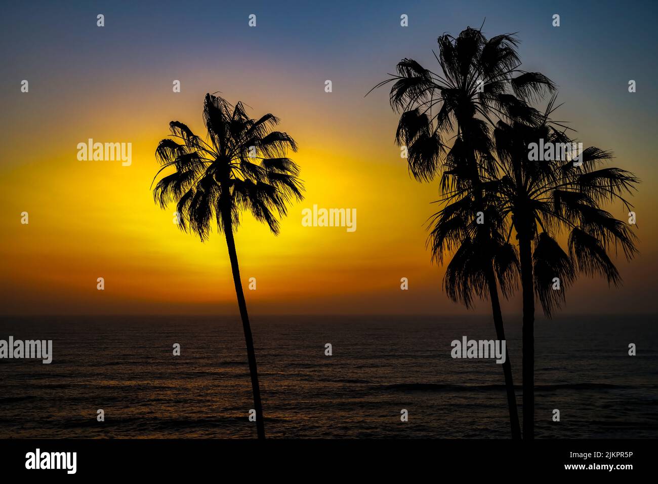 A BEAUTIFUL ORANGE SUNSET IN LA JOLLA CALIFORNIA WITH BACKLIT PALM TREES AND A CALM DARK PACIFIC OCEAN Stock Photo