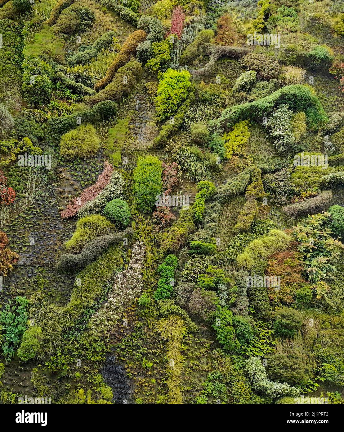 Green wall madrid hires stock photography and images Alamy