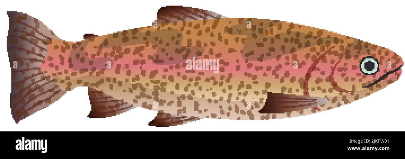 trout fish cartoon vector illustration Stock Vector