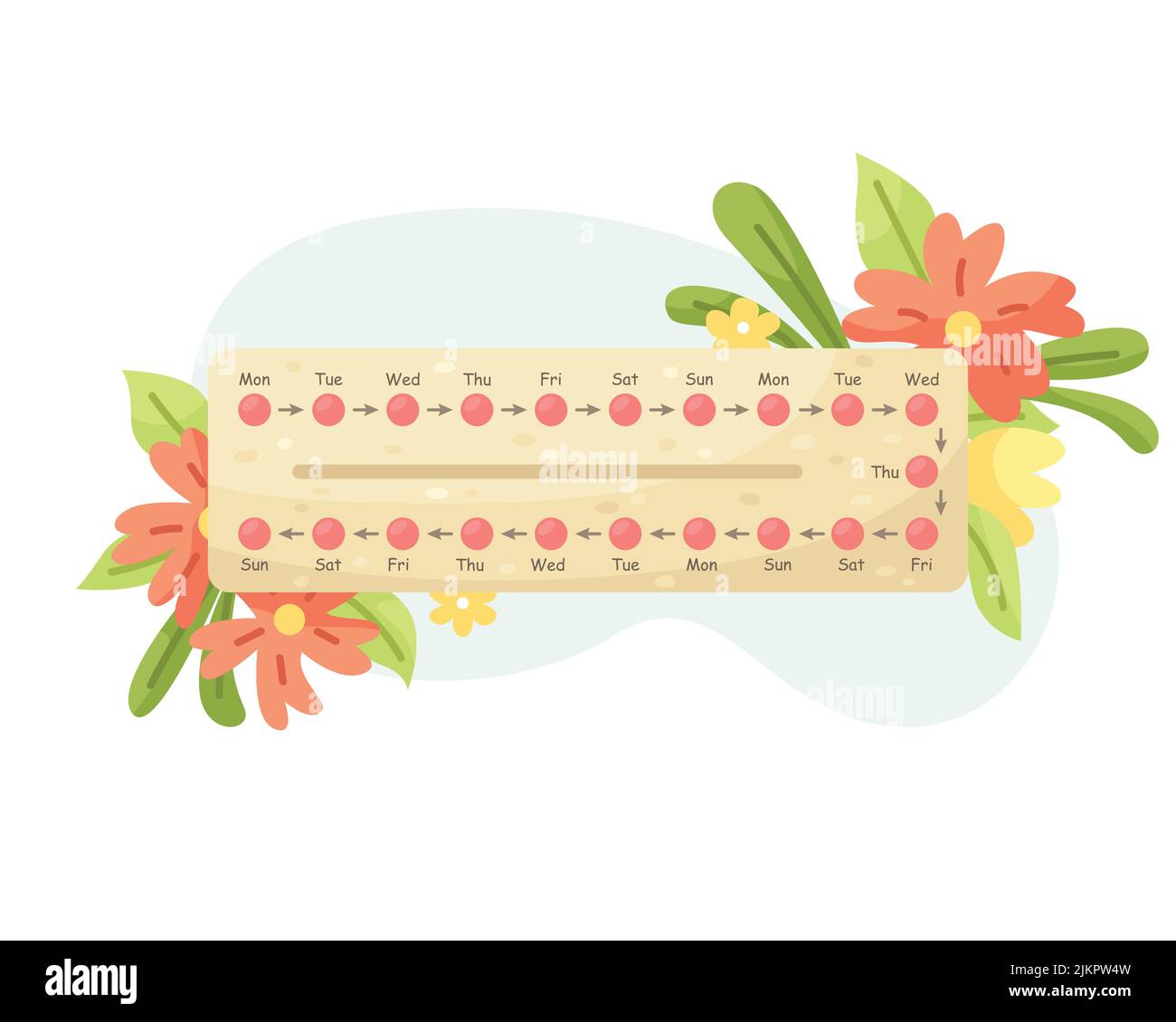 Vector illustration of a package with birth control pills. Menstrual cycle. Hormonal medication. Stock Vector