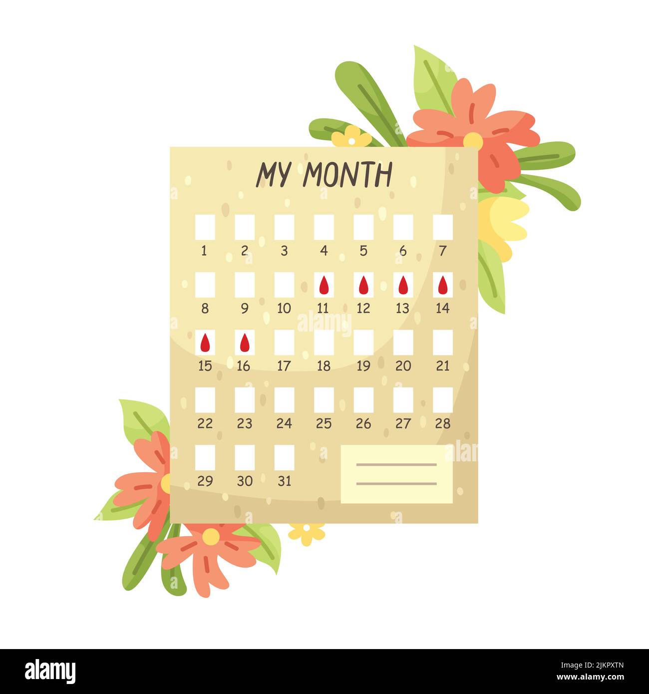 Vector illustration of the menstrual cycle calendar. Women's calendar. Stock Vector