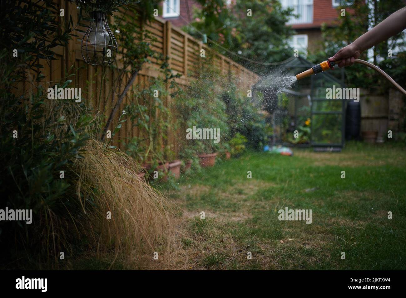 A hosepipe is used in a garden in London. South East Water, supplier for Kent and Sussex has become the latest to announce a hosepipe ban citing demand this summer breaking 'all previous records' amid 'extreme' dry conditions. Picture date: Sunday July 31, 2022. Stock Photo