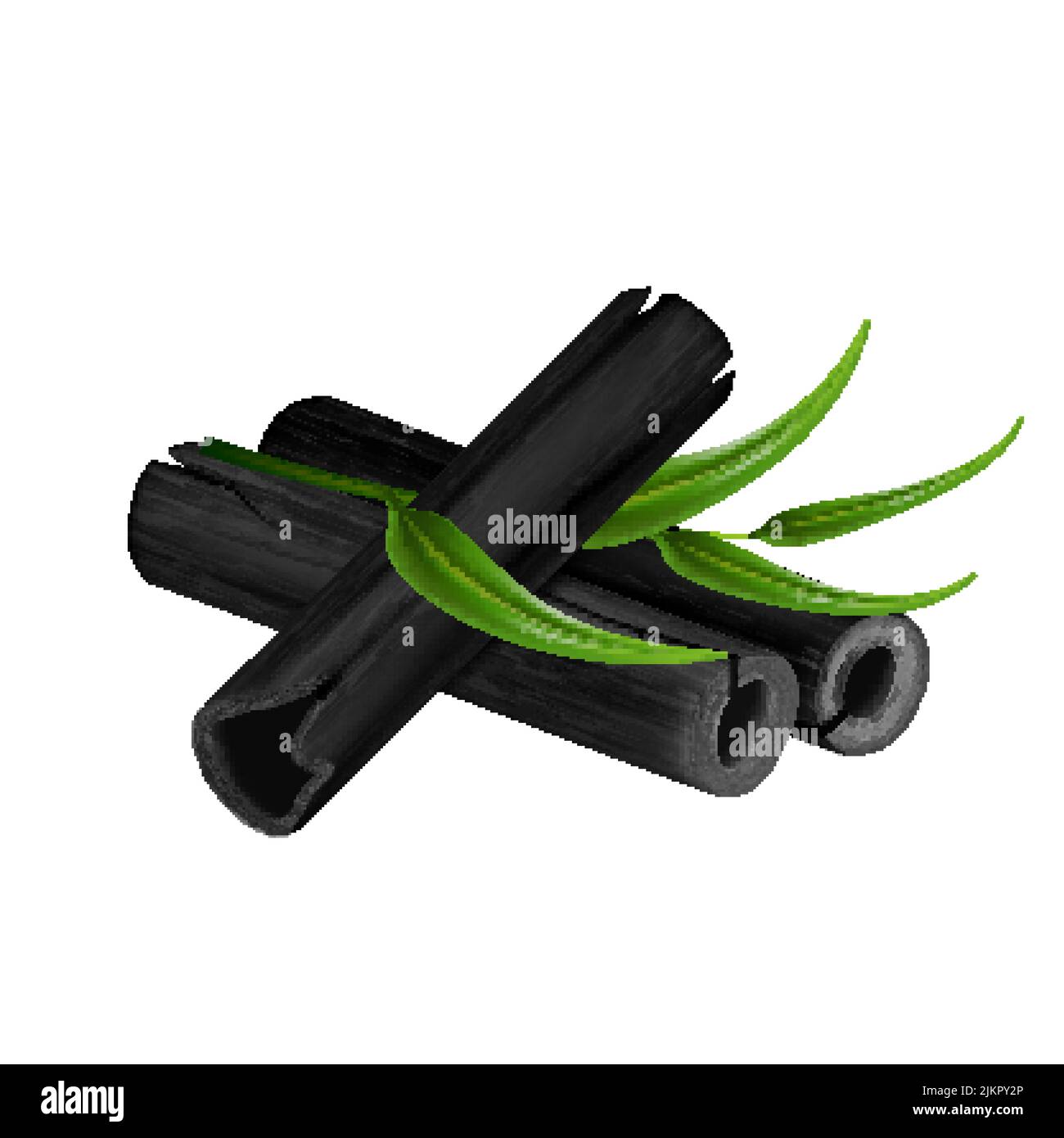 charcoal bamboo realistic vector Stock Vector Image & Art - Alamy