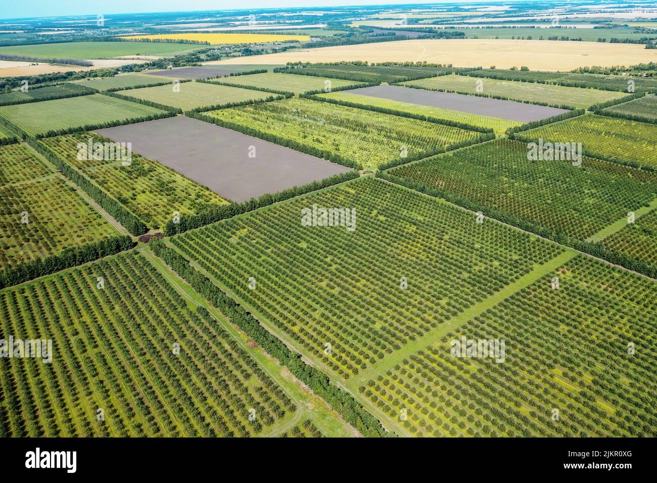 Agriculture fields in countryside in summer day aerial view. Harvest time. Stock Photo