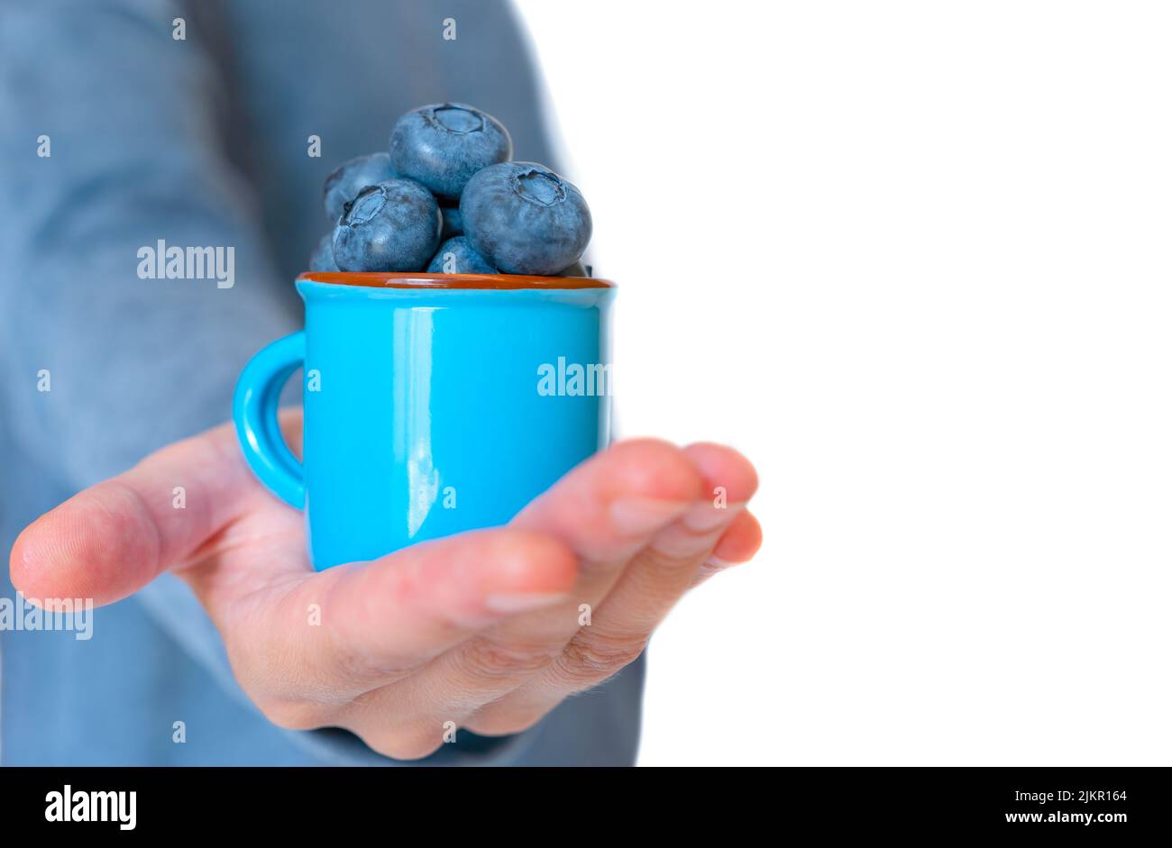 Woman holding a small blue enamel mug with fresh blueberries isolated on white background with copy space. Healthy eating concept. Stock Photo