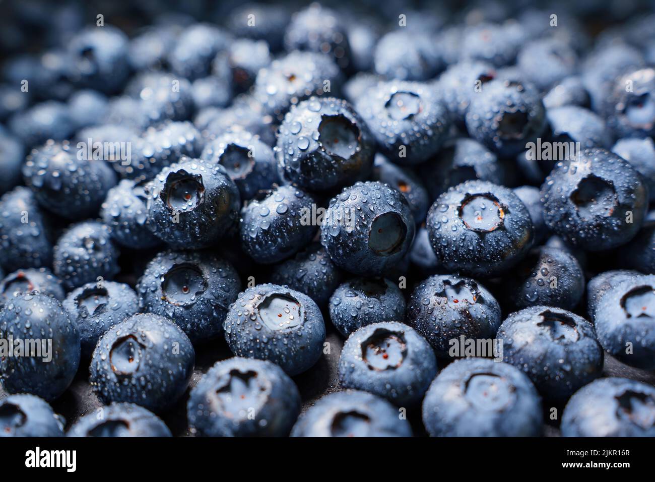 Ripe wet blueberries background Stock Photo