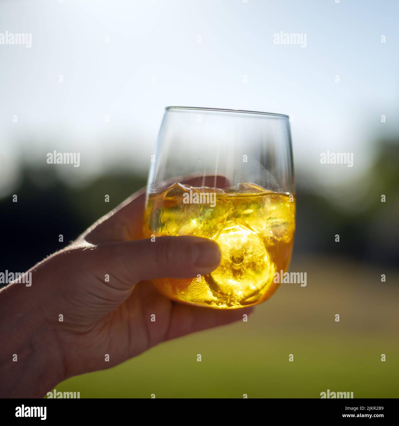 Evening light highlights a glass of Suze (a bitter French aperitif) in the hand. Stock Photo