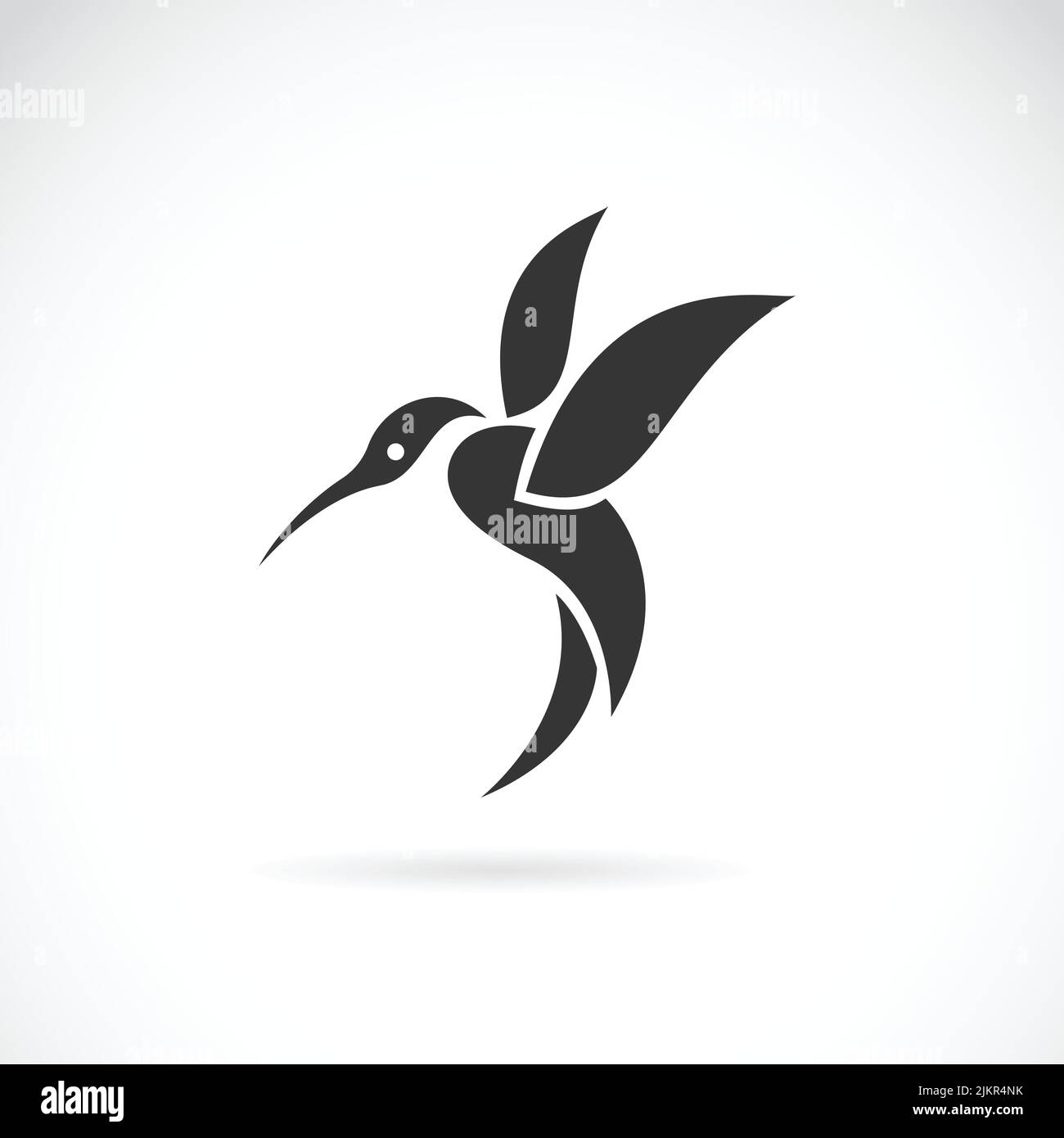 Vector image of an hummingbird design on white background Stock Vector